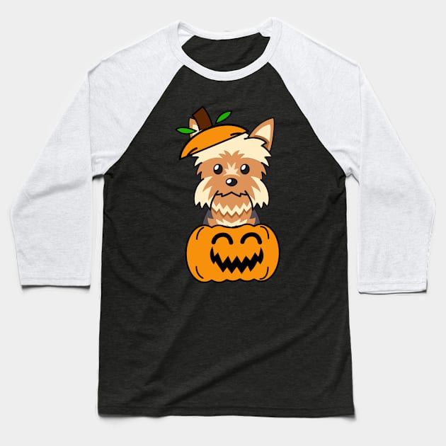 Funny yorkshire terrier is in a pumpkin Baseball T-Shirt by Pet Station